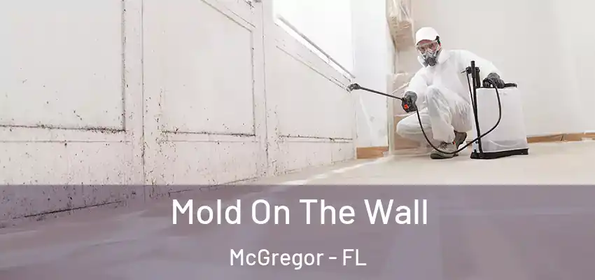 Mold On The Wall McGregor - FL