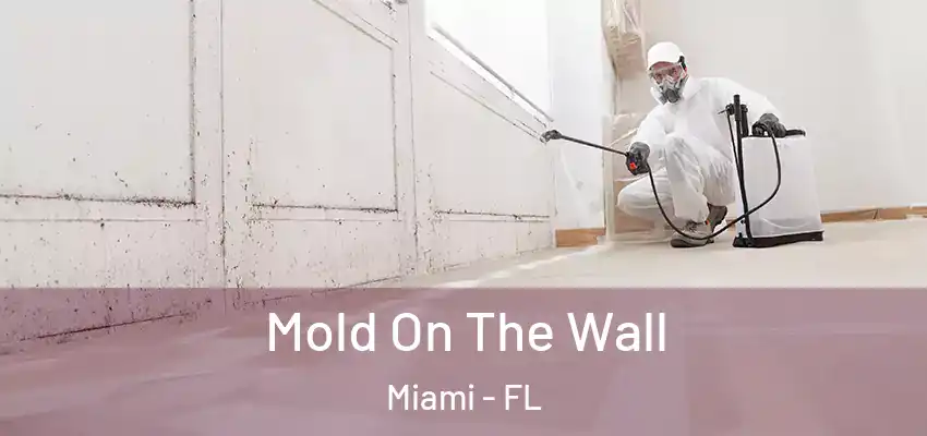 Mold On The Wall Miami - FL