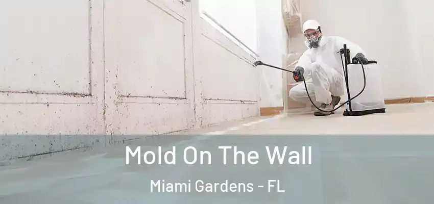 Mold On The Wall Miami Gardens - FL