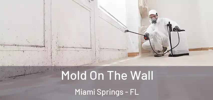 Mold On The Wall Miami Springs - FL