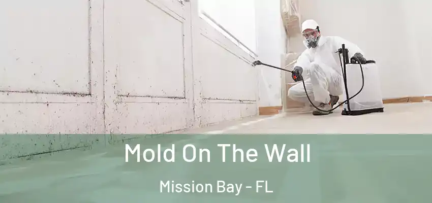  Mold On The Wall Mission Bay - FL