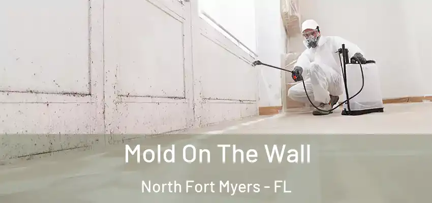 Mold On The Wall North Fort Myers - FL