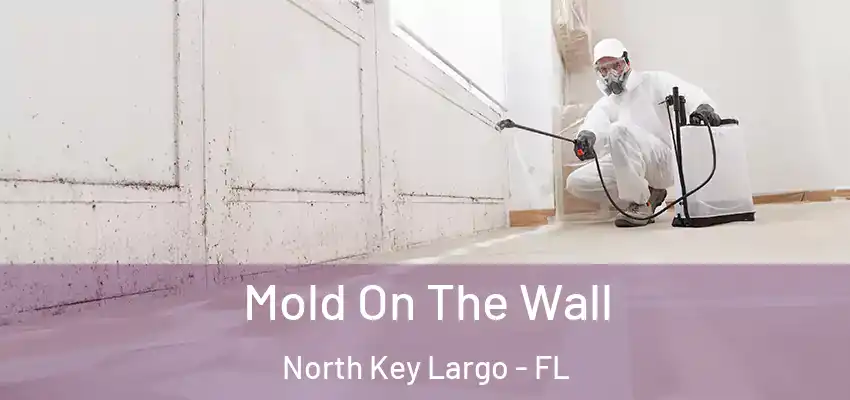 Mold On The Wall North Key Largo - FL