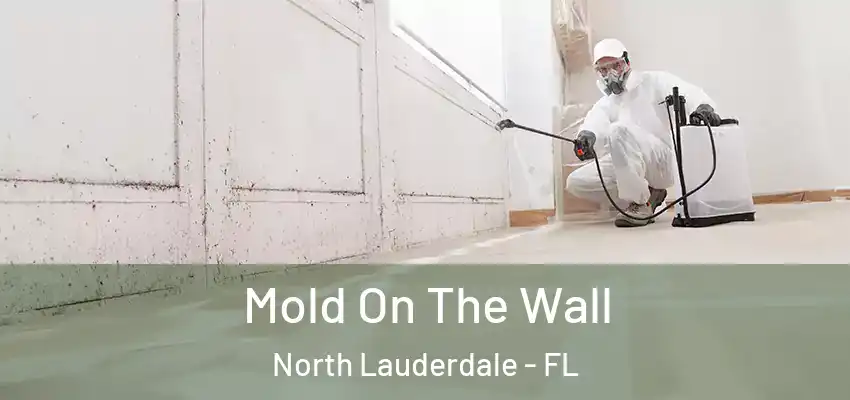 Mold On The Wall North Lauderdale - FL