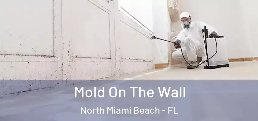 Mold On The Wall North Miami Beach - FL