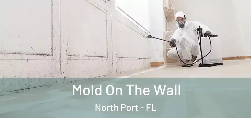 Mold On The Wall North Port - FL