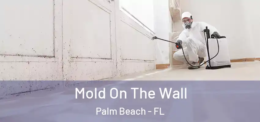 Mold On The Wall Palm Beach - FL