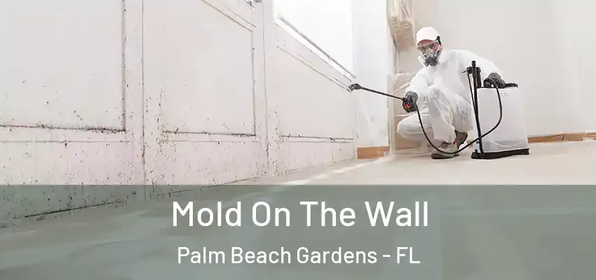 Mold On The Wall Palm Beach Gardens - FL