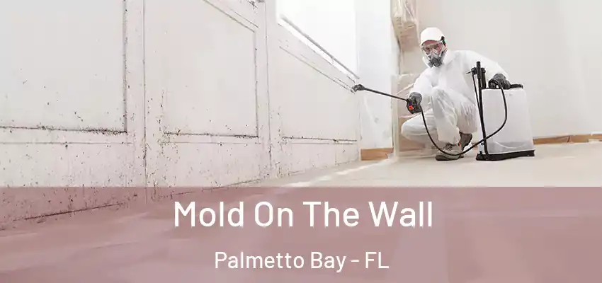 Mold On The Wall Palmetto Bay - FL