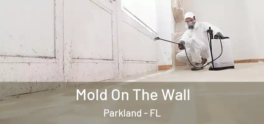  Mold On The Wall Parkland - FL