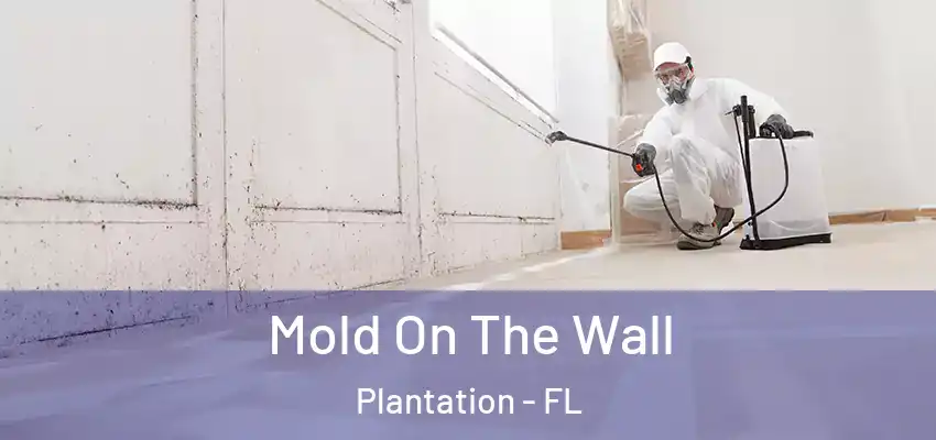 Mold On The Wall Plantation - FL