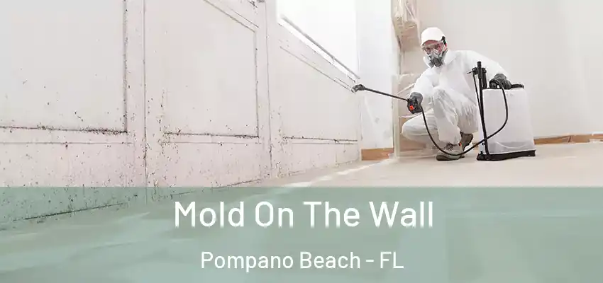  Mold On The Wall Pompano Beach - FL
