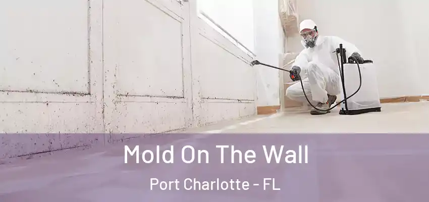 Mold On The Wall Port Charlotte - FL
