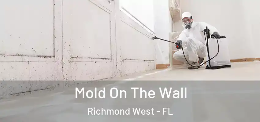 Mold On The Wall Richmond West - FL