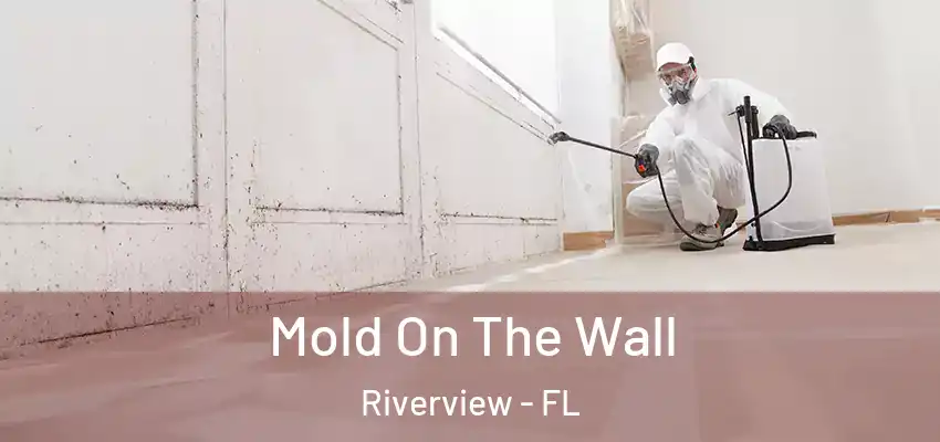Mold On The Wall Riverview - FL