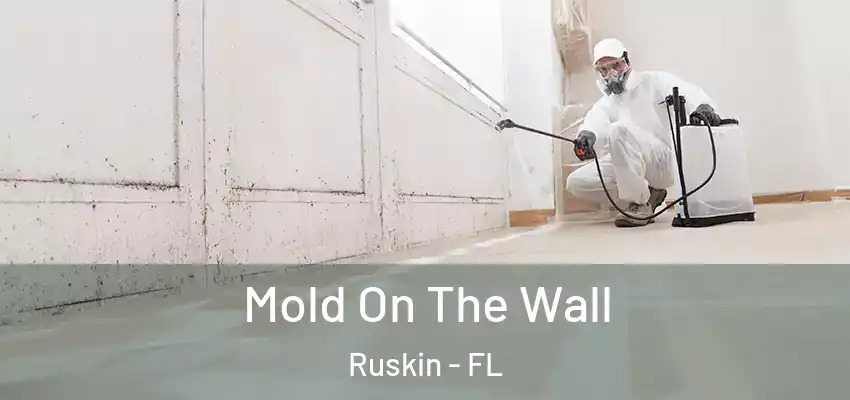 Mold On The Wall Ruskin - FL