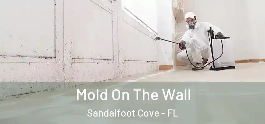 Mold On The Wall Sandalfoot Cove - FL