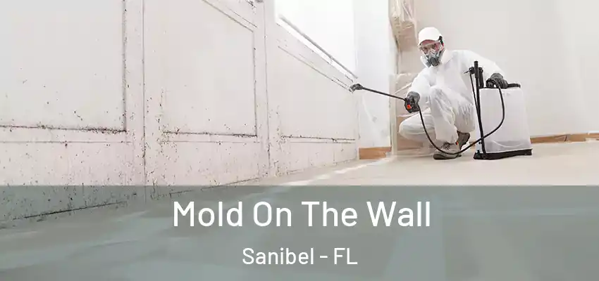  Mold On The Wall Sanibel - FL