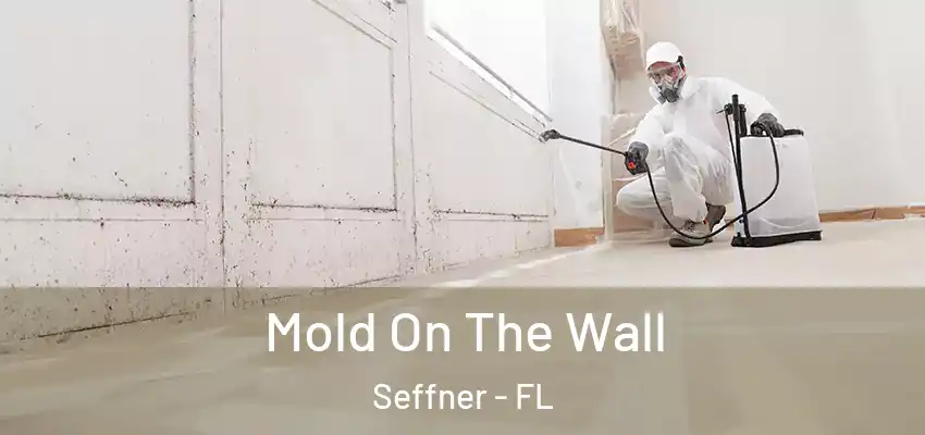 Mold On The Wall Seffner - FL
