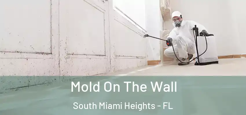 Mold On The Wall South Miami Heights - FL
