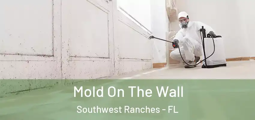 Mold On The Wall Southwest Ranches - FL