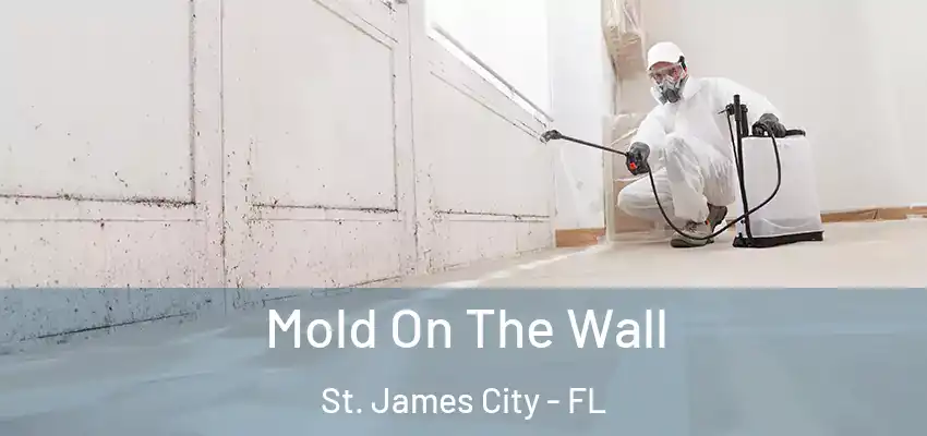 Mold On The Wall St. James City - FL
