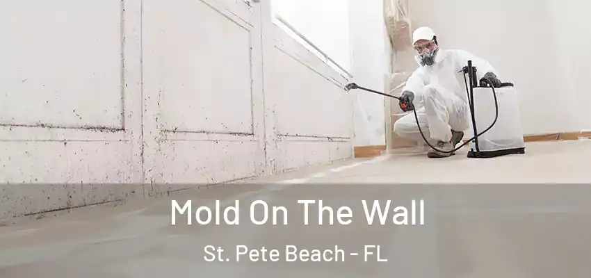  Mold On The Wall St. Pete Beach - FL