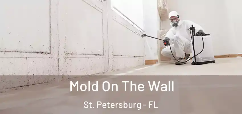  Mold On The Wall St. Petersburg - FL