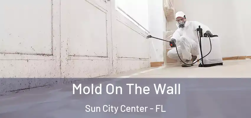  Mold On The Wall Sun City Center - FL