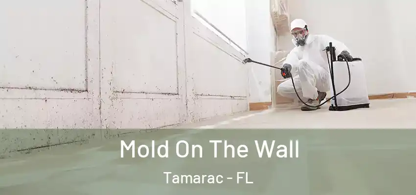  Mold On The Wall Tamarac - FL