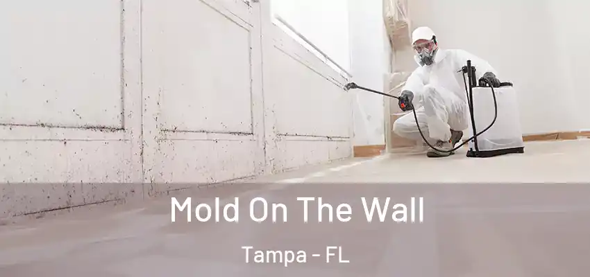  Mold On The Wall Tampa - FL