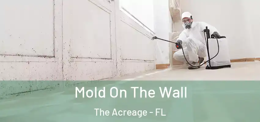 Mold On The Wall The Acreage - FL