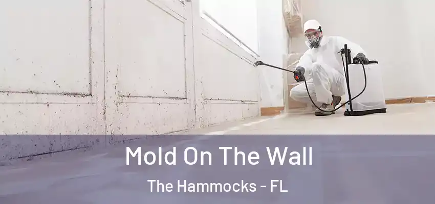 Mold On The Wall The Hammocks - FL