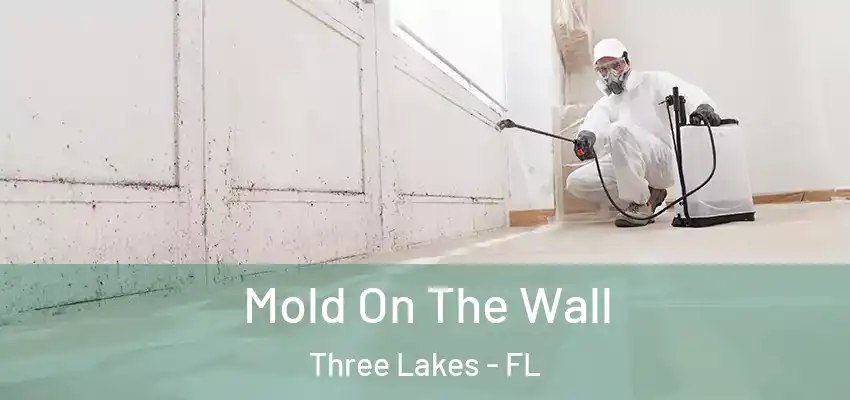 Mold On The Wall Three Lakes - FL