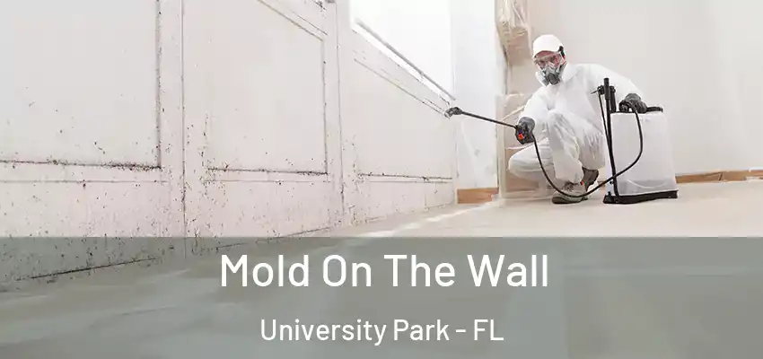  Mold On The Wall University Park - FL