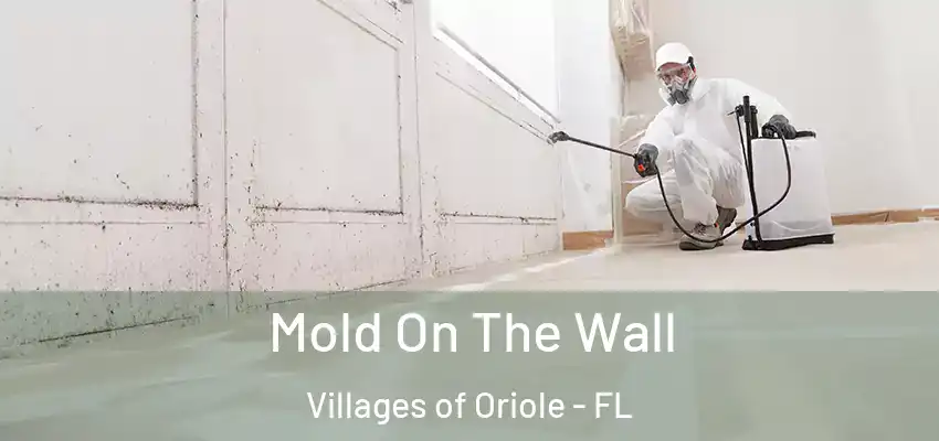Mold On The Wall Villages of Oriole - FL