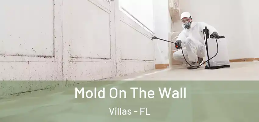 Mold On The Wall Villas - FL