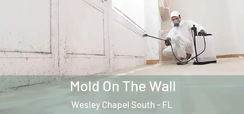  Mold On The Wall Wesley Chapel South - FL