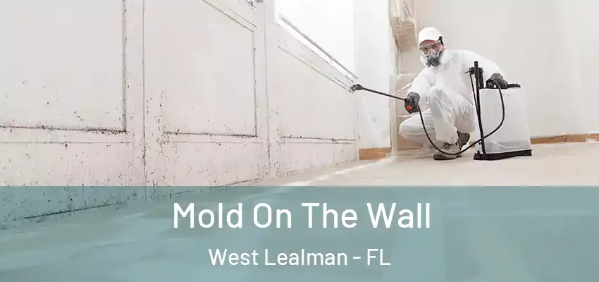 Mold On The Wall West Lealman - FL