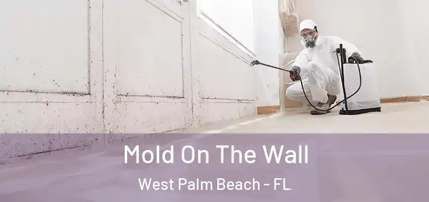  Mold On The Wall West Palm Beach - FL