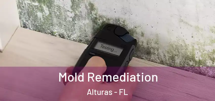 Mold Remediation Alturas - FL