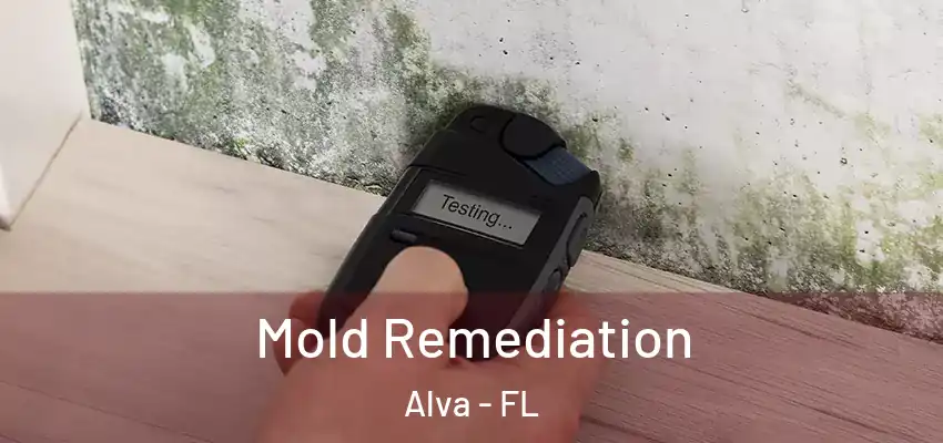 Mold Remediation Alva - FL