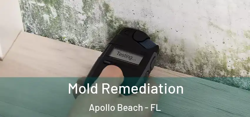 Mold Remediation Apollo Beach - FL
