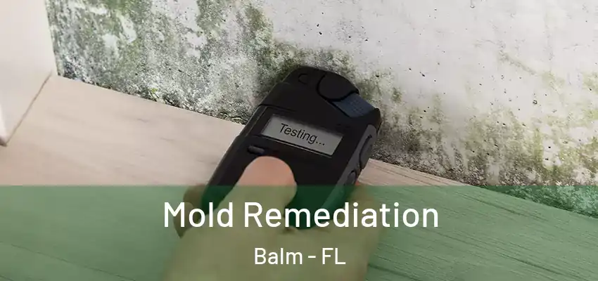 Mold Remediation Balm - FL