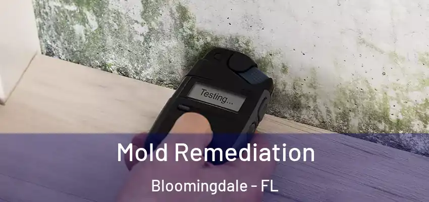 Mold Remediation Bloomingdale - FL