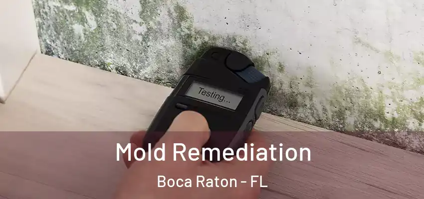 Mold Remediation Boca Raton - FL