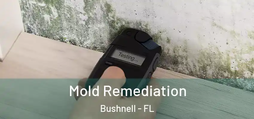 Mold Remediation Bushnell - FL