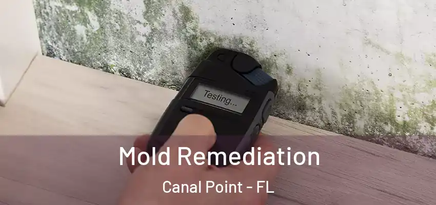 Mold Remediation Canal Point - FL