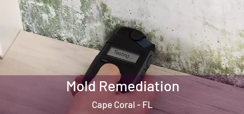  Mold Remediation Cape Coral - FL
