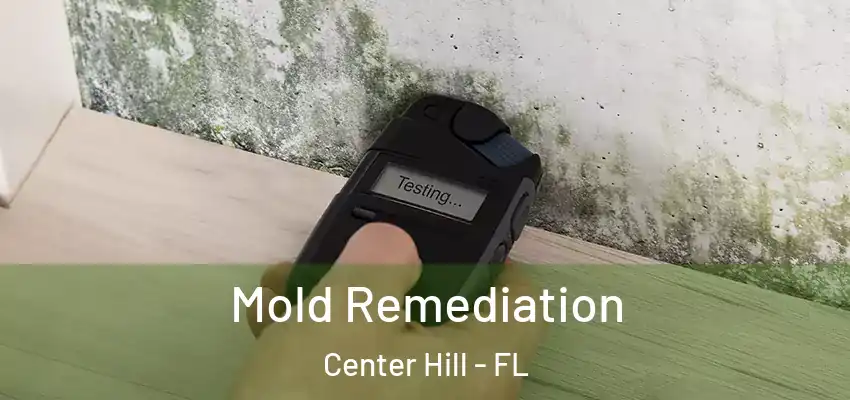  Mold Remediation Center Hill - FL